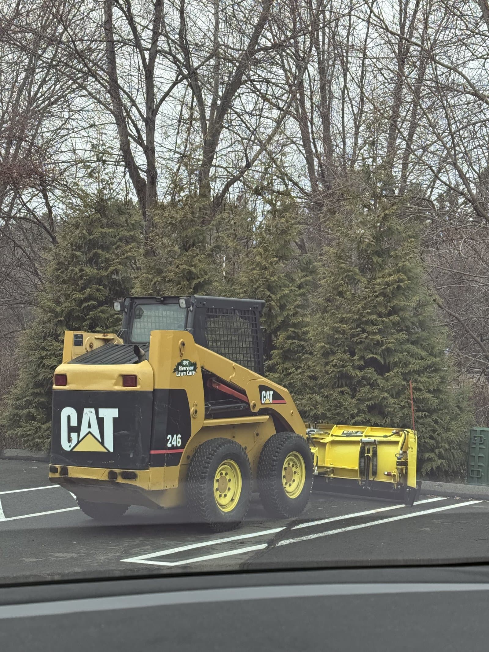 Professional Results