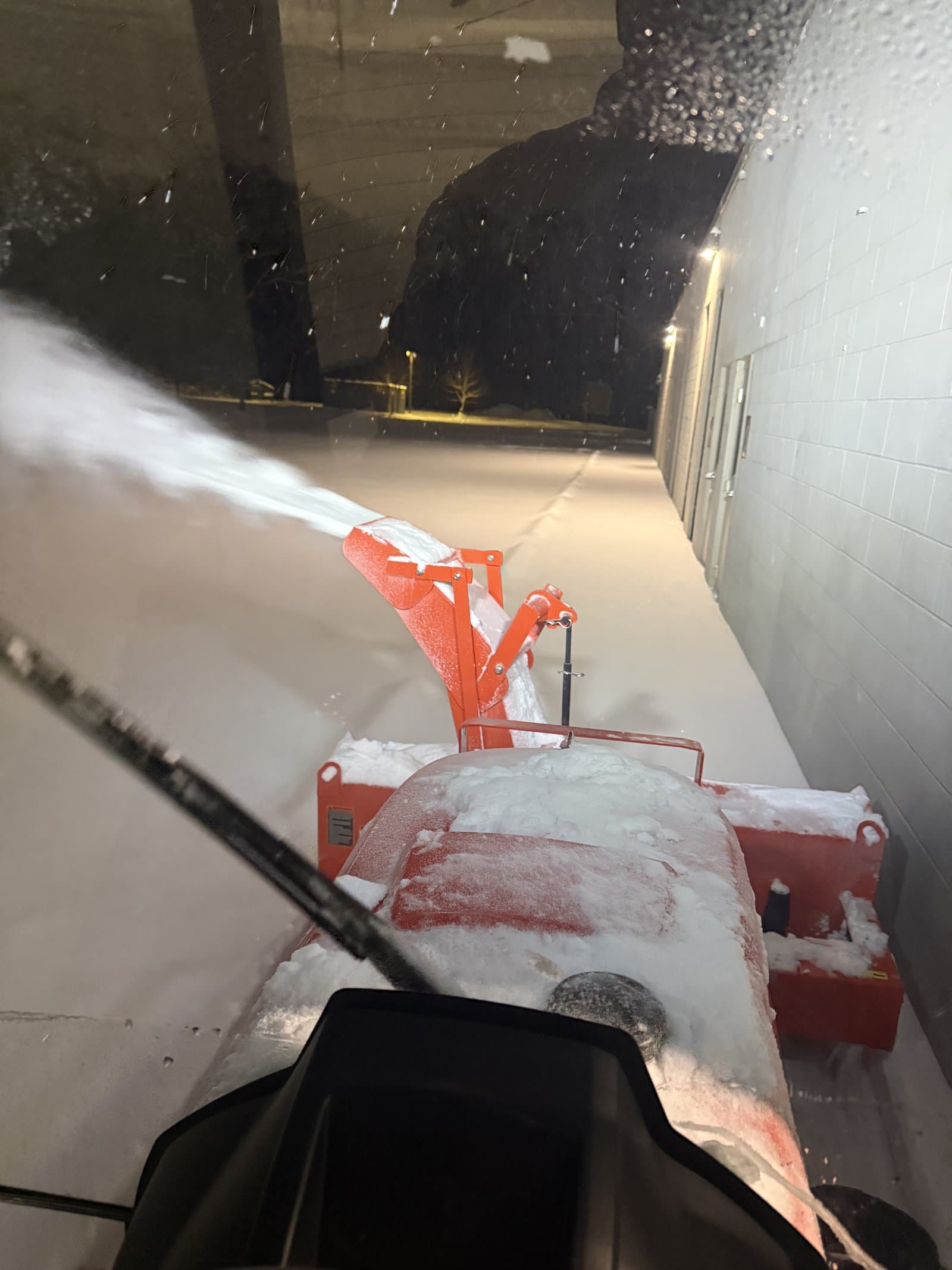 Professional Service